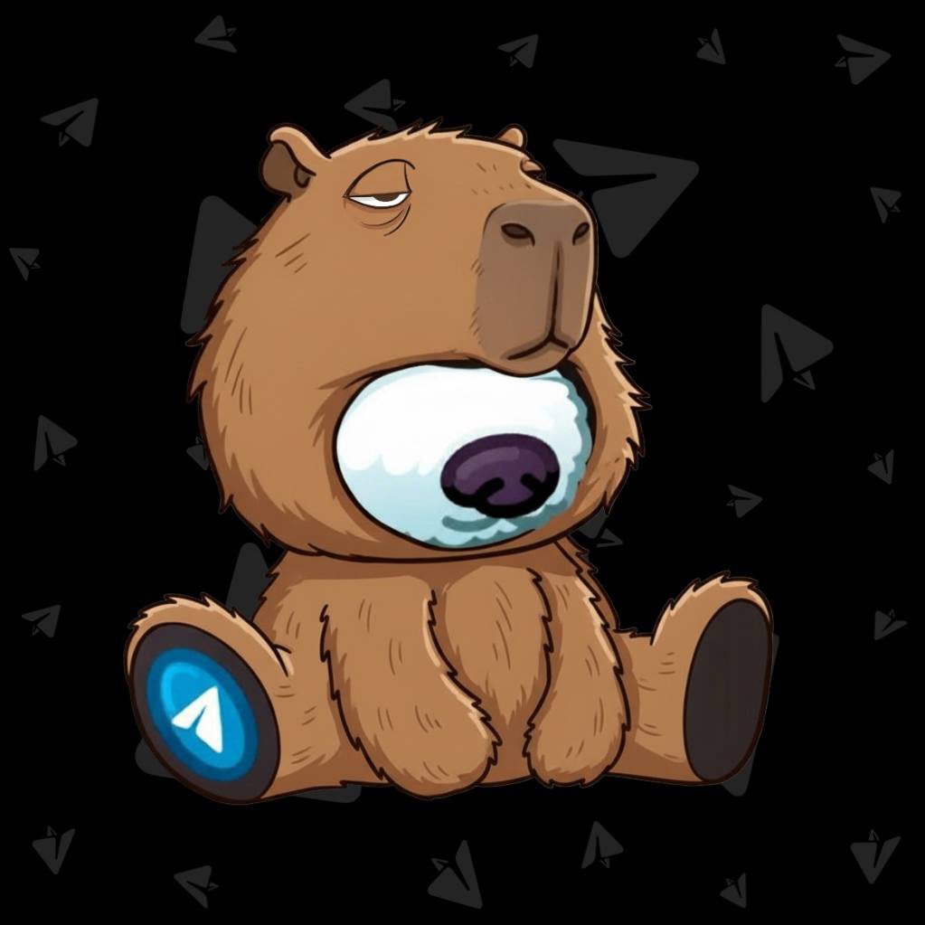 Ton Capybara tweet media