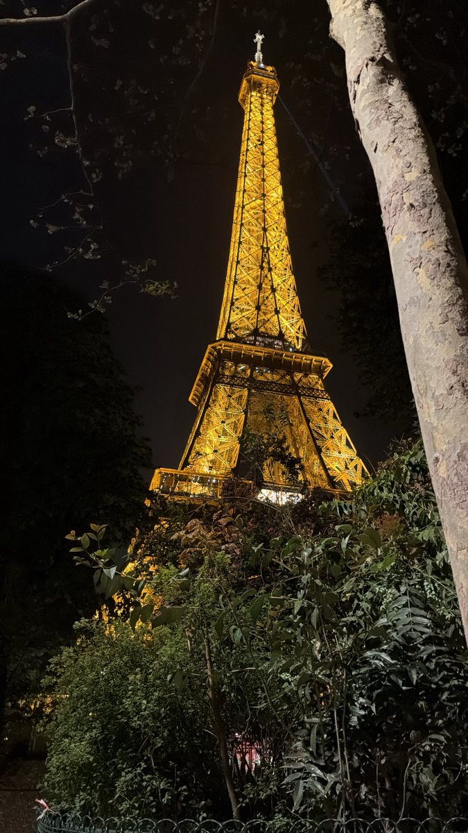 هذال tweet media