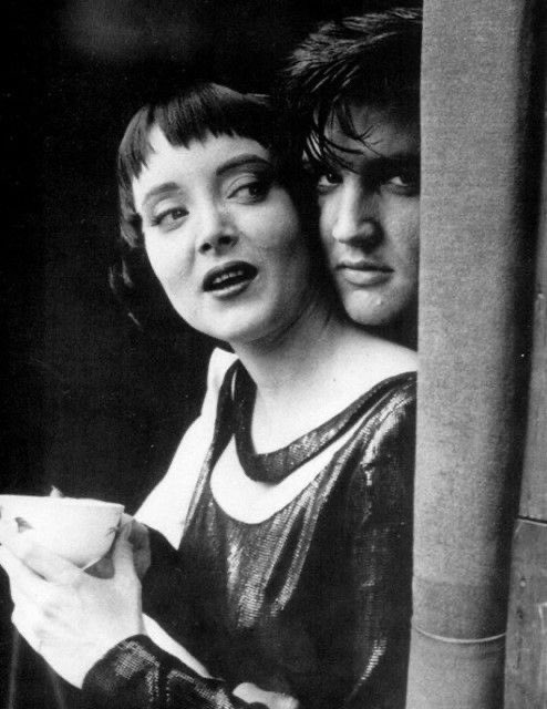 Kathy Bovenschen 🌻🇺🇸🩷🦚 tweet media