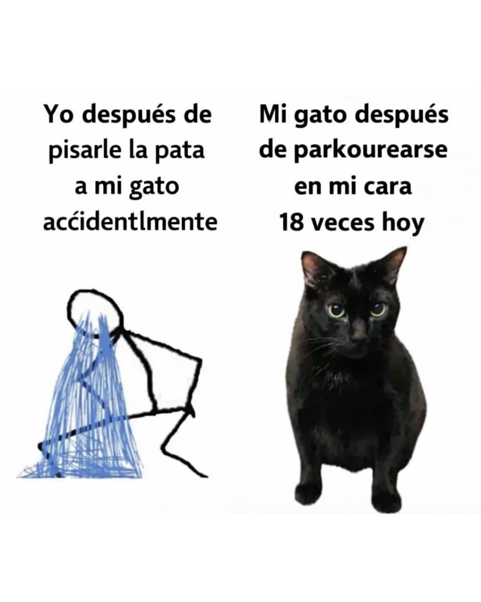 jezucrihto xd tweet media