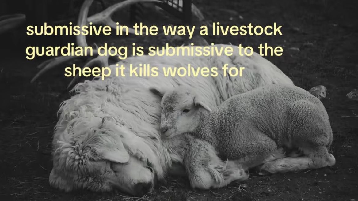 lady blake ʚїɞ tweet media