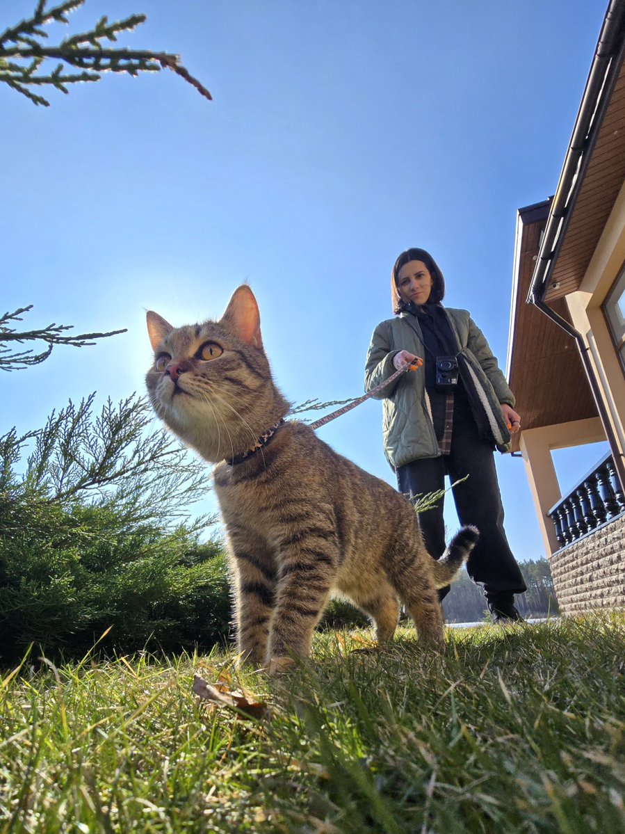 IM_Maryna tweet media