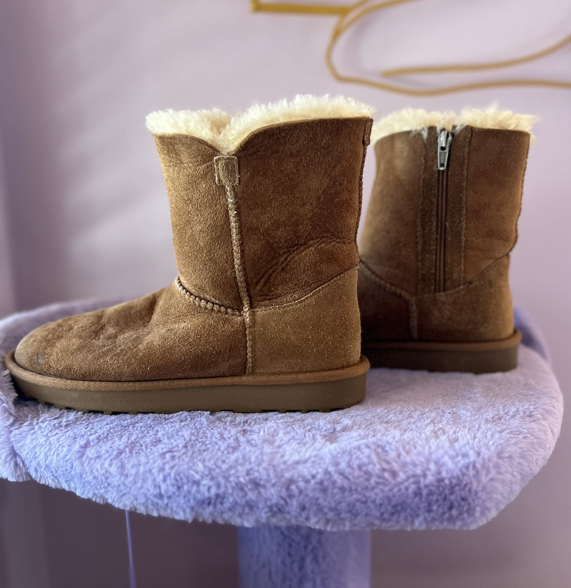 Miss Rose 🥀 tweet media