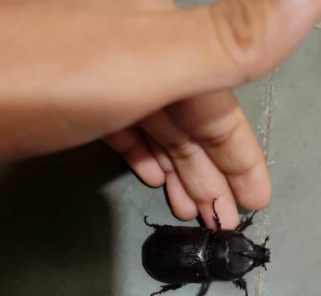 Confused Penguin tweet media