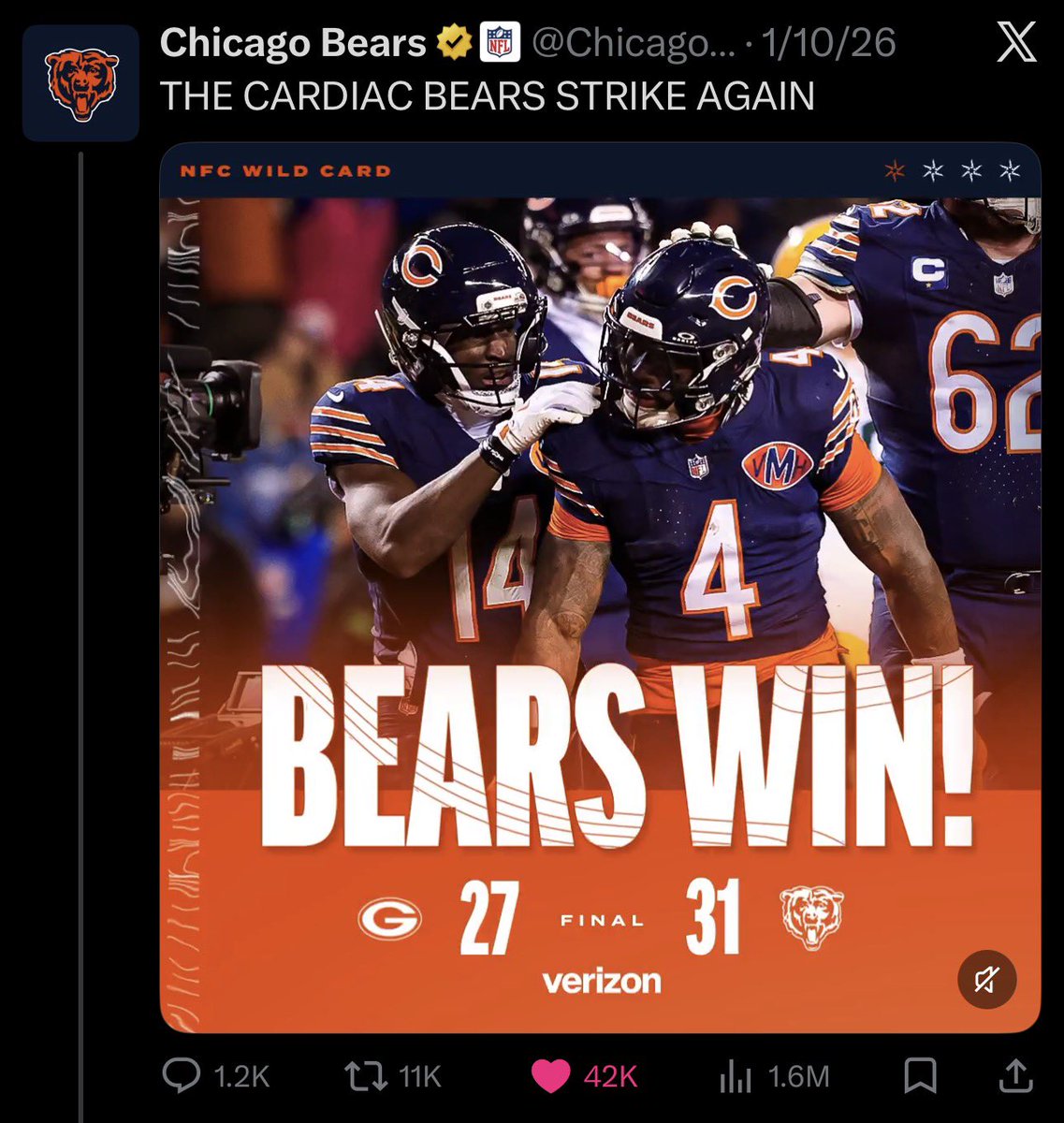 BearsMuse tweet media
