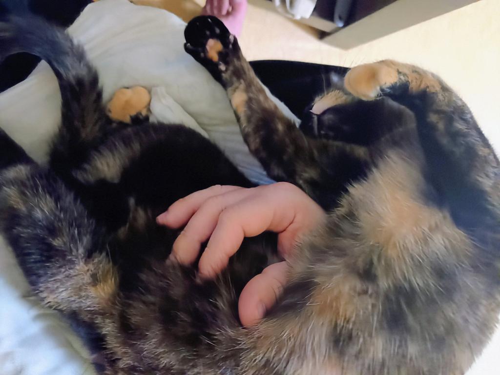 Driver ™ tweet media