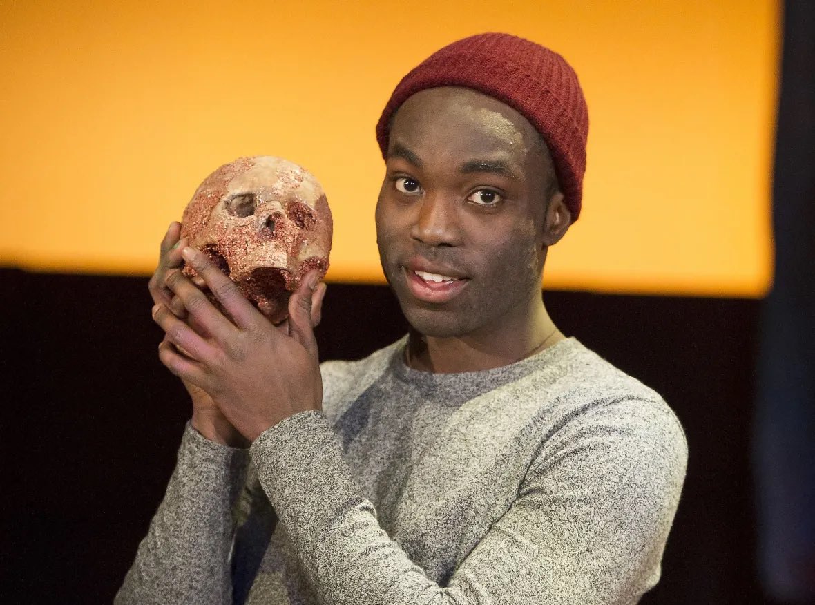 Wizarding World Direct tweet media