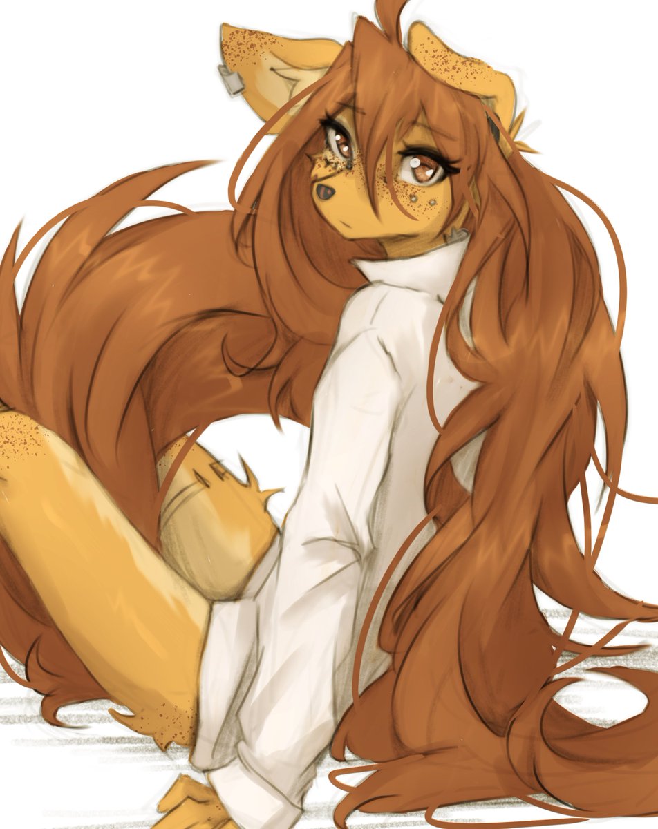 Tiny Boring Pirate tweet media