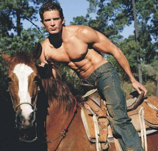 boy for contact tweet media