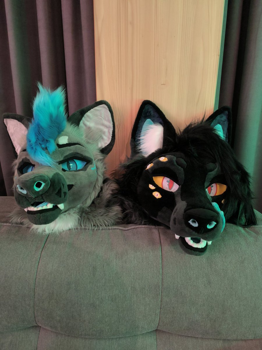 Markus Bruckmüller tweet media