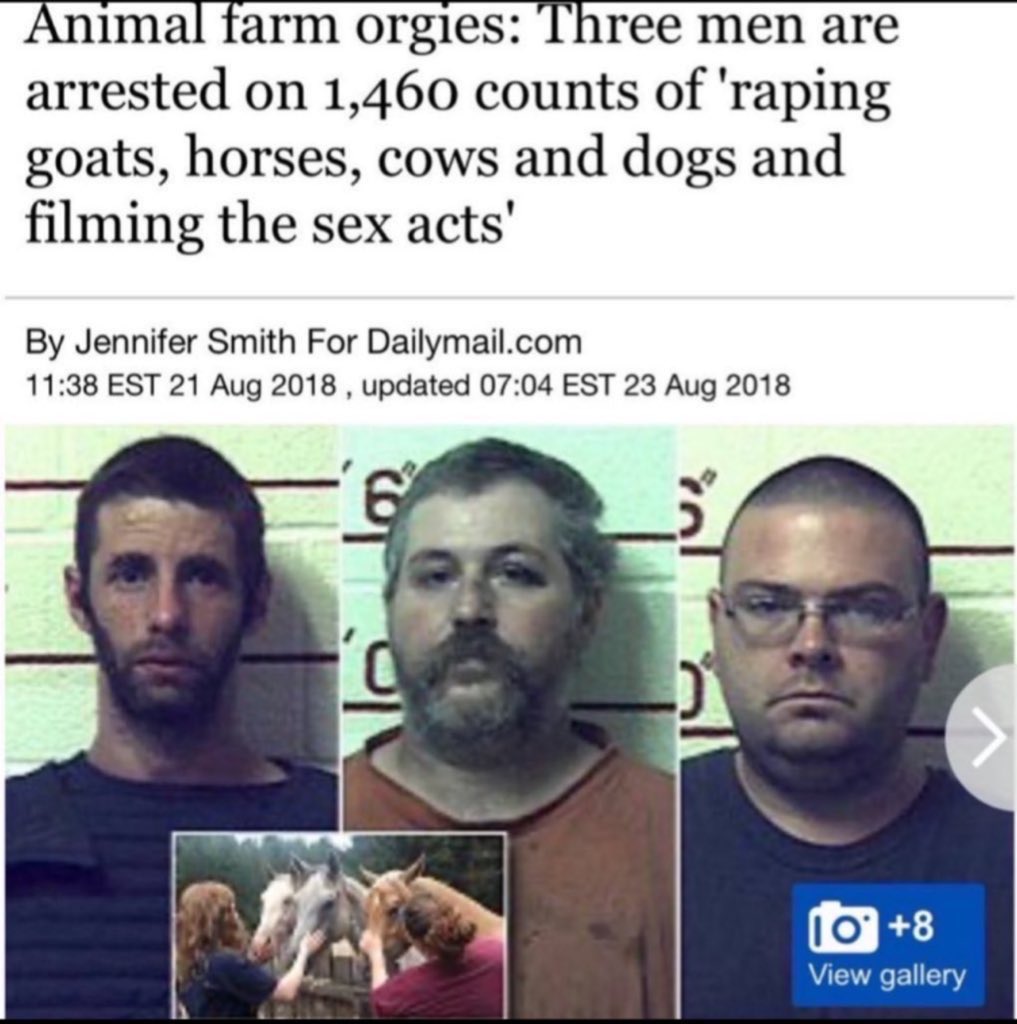 LionKing tweet media