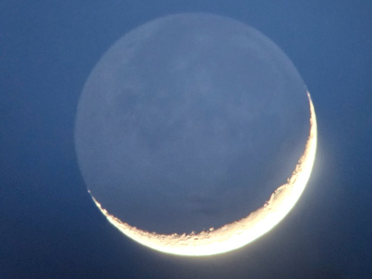 Peter Lewis tweet media