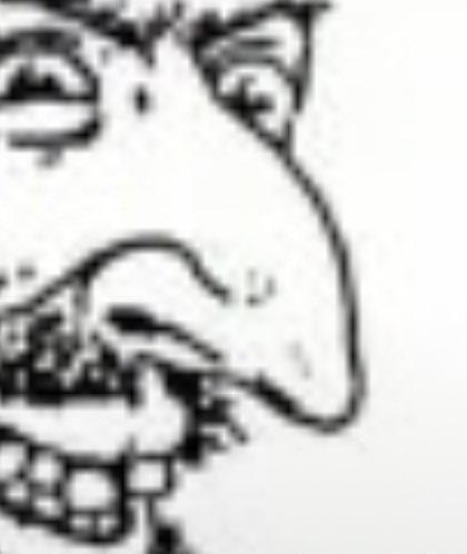 ⵣ (⭐️⭐️) tweet media