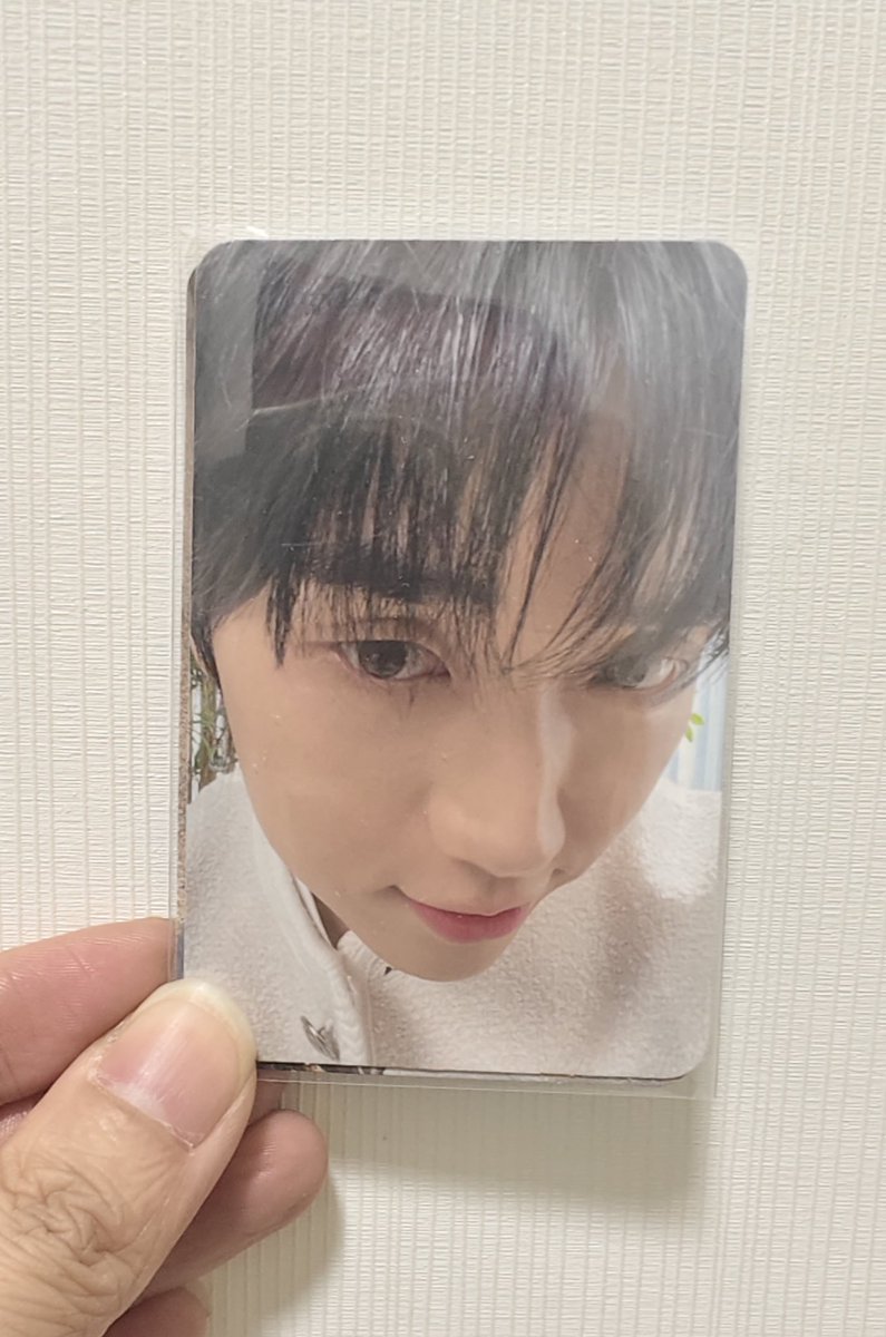 🌸Lucia범이 tweet media