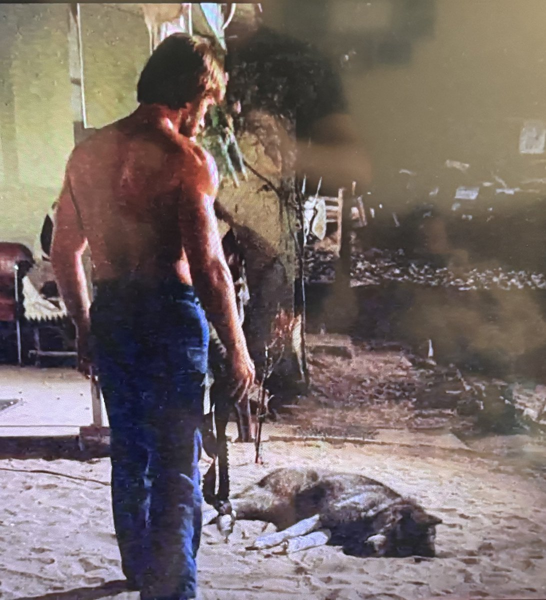 Vincent Parry. Scuba King tweet media