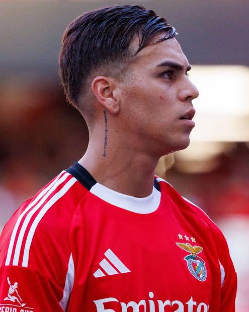 Diogo Oliveira tweet media