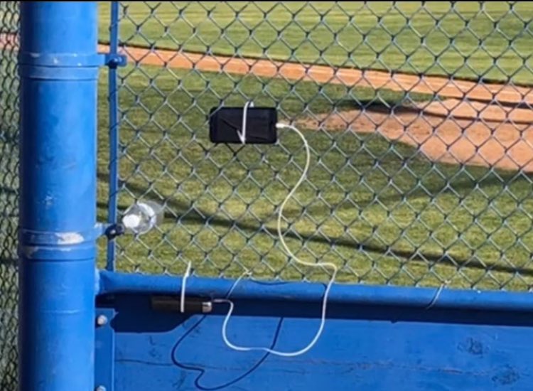 Mark the Shark tweet media