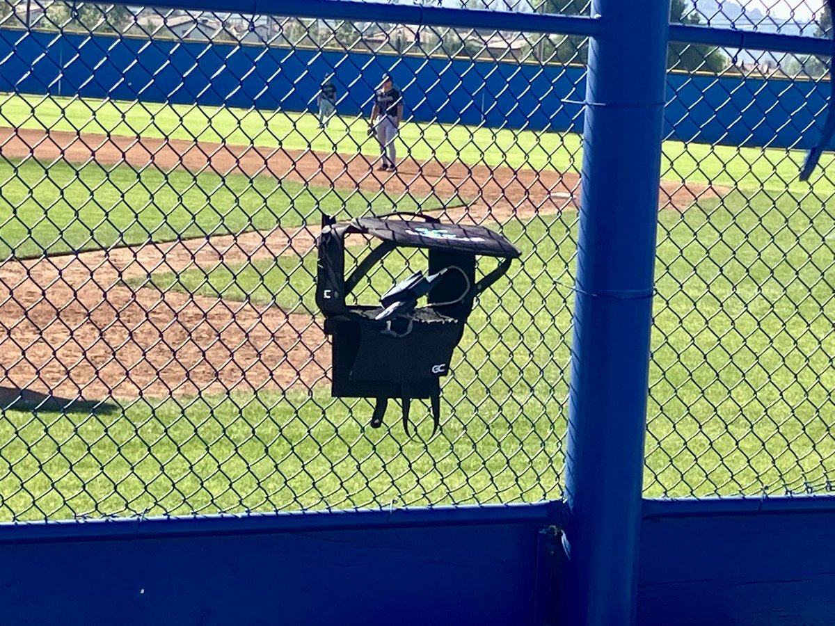 Mark the Shark tweet media