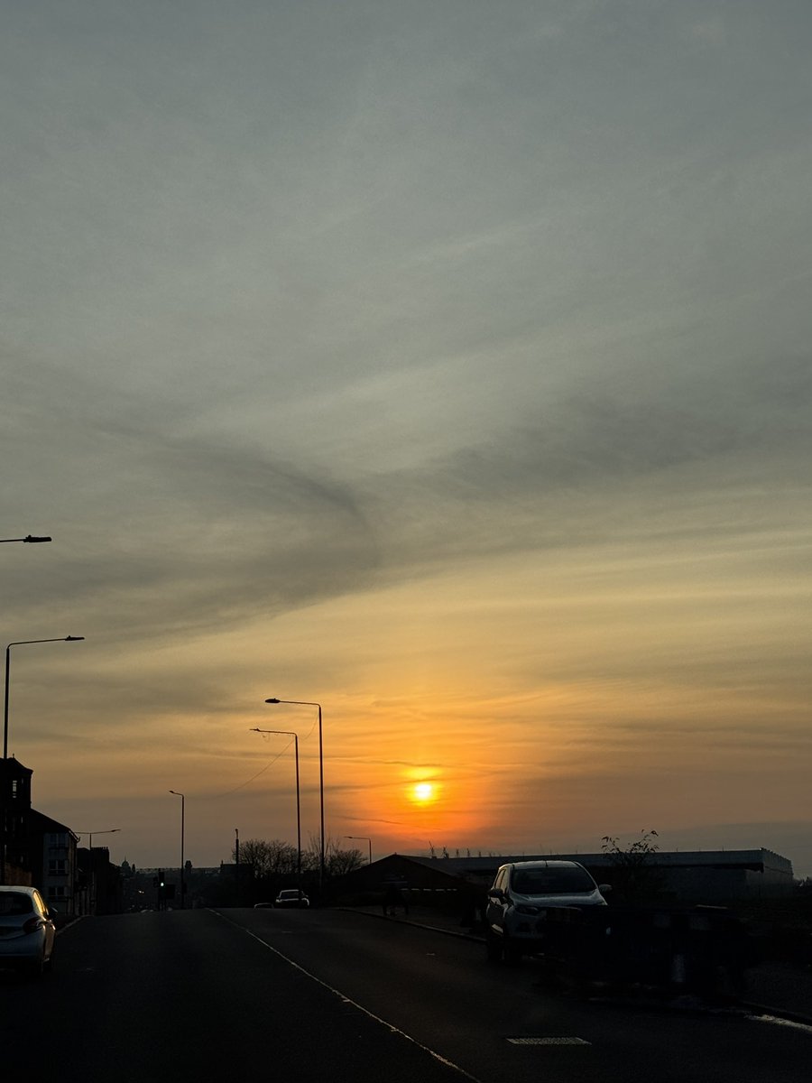 Cara Scott tweet media