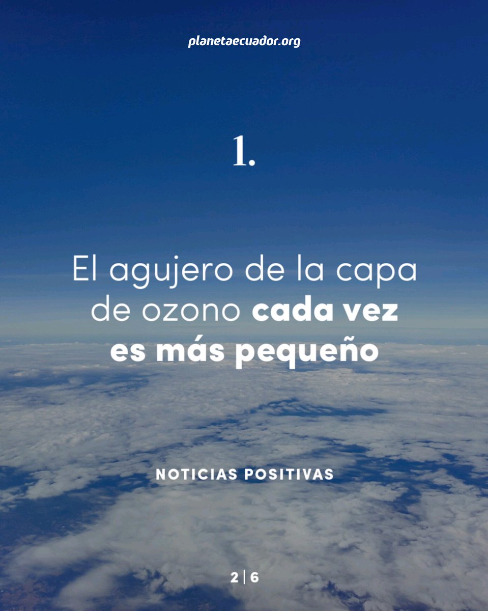 planetaecuador_'s tweet photo. Estas son algunas noticias positivas que nos recuerdan algo importante: todavía hay personas, comunidades e ideas trabajando para proteger nuestro planeta.

#PlanetaEcuador 🌿 #EnvironmentalHolding
#noticias #ambiente #documentales https://t.co/c6JcgdIYKd