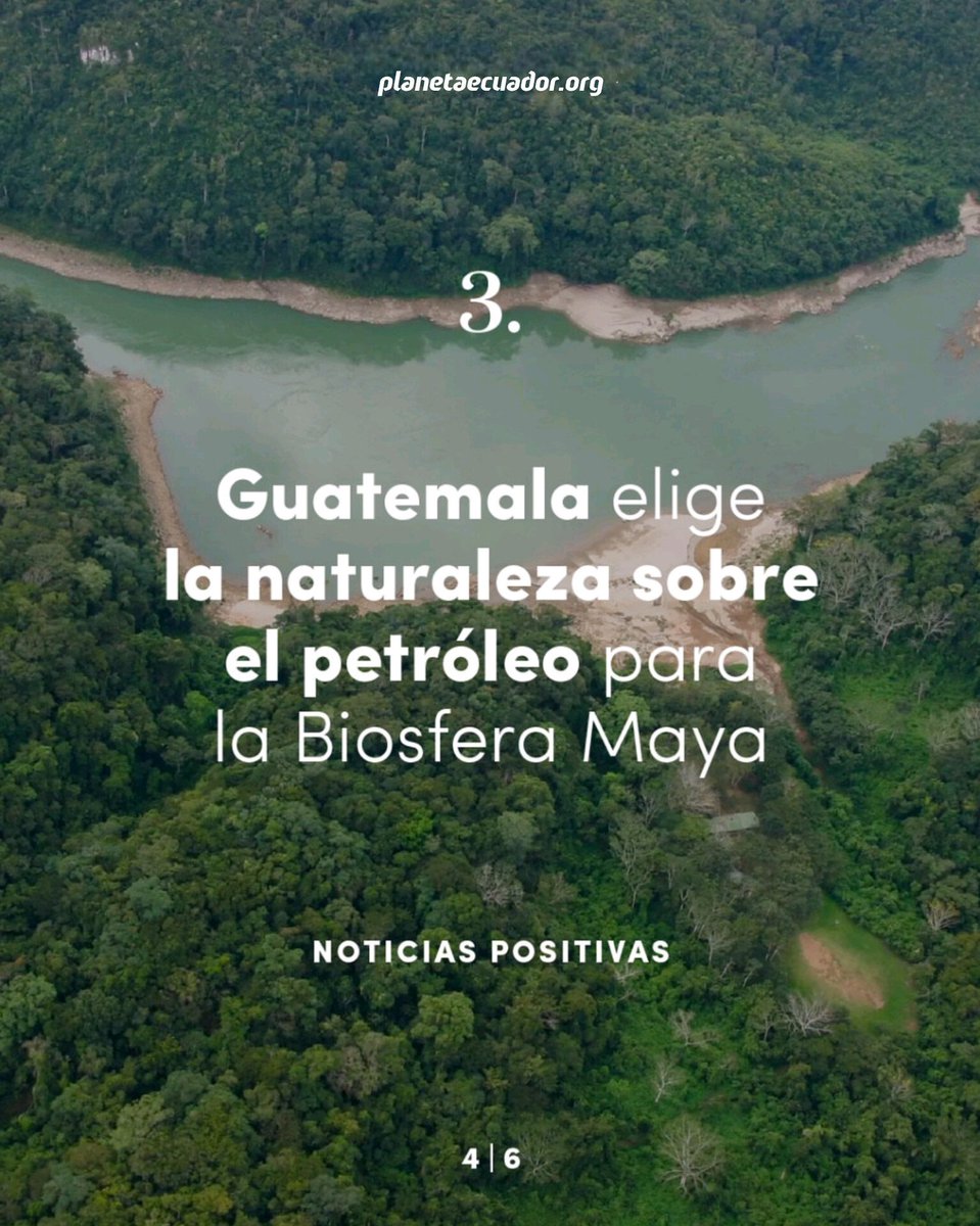 planetaecuador_'s tweet photo. Estas son algunas noticias positivas que nos recuerdan algo importante: todavía hay personas, comunidades e ideas trabajando para proteger nuestro planeta.

#PlanetaEcuador 🌿 #EnvironmentalHolding
#noticias #ambiente #documentales https://t.co/c6JcgdIYKd