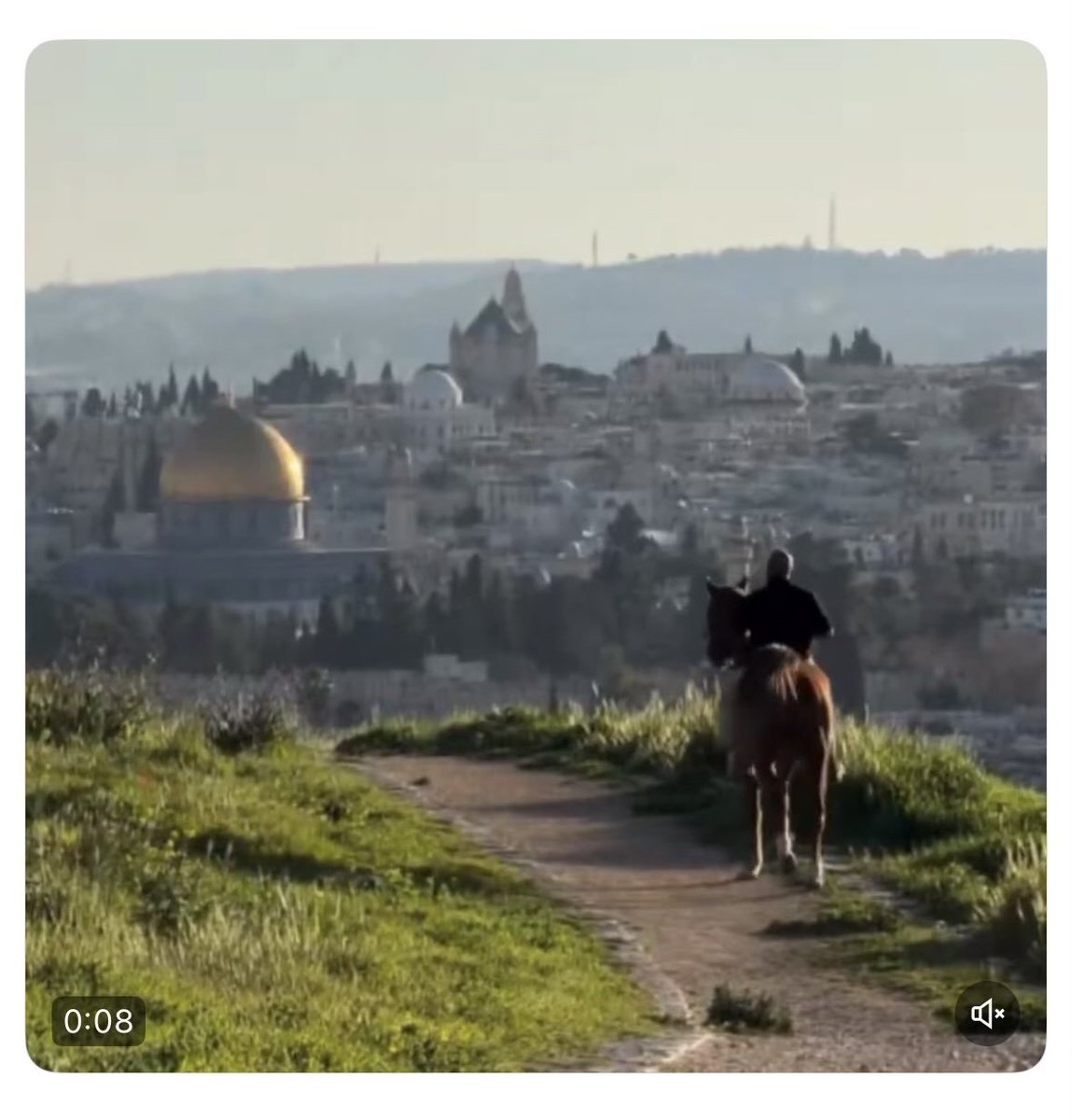 Ma Fryps tweet media