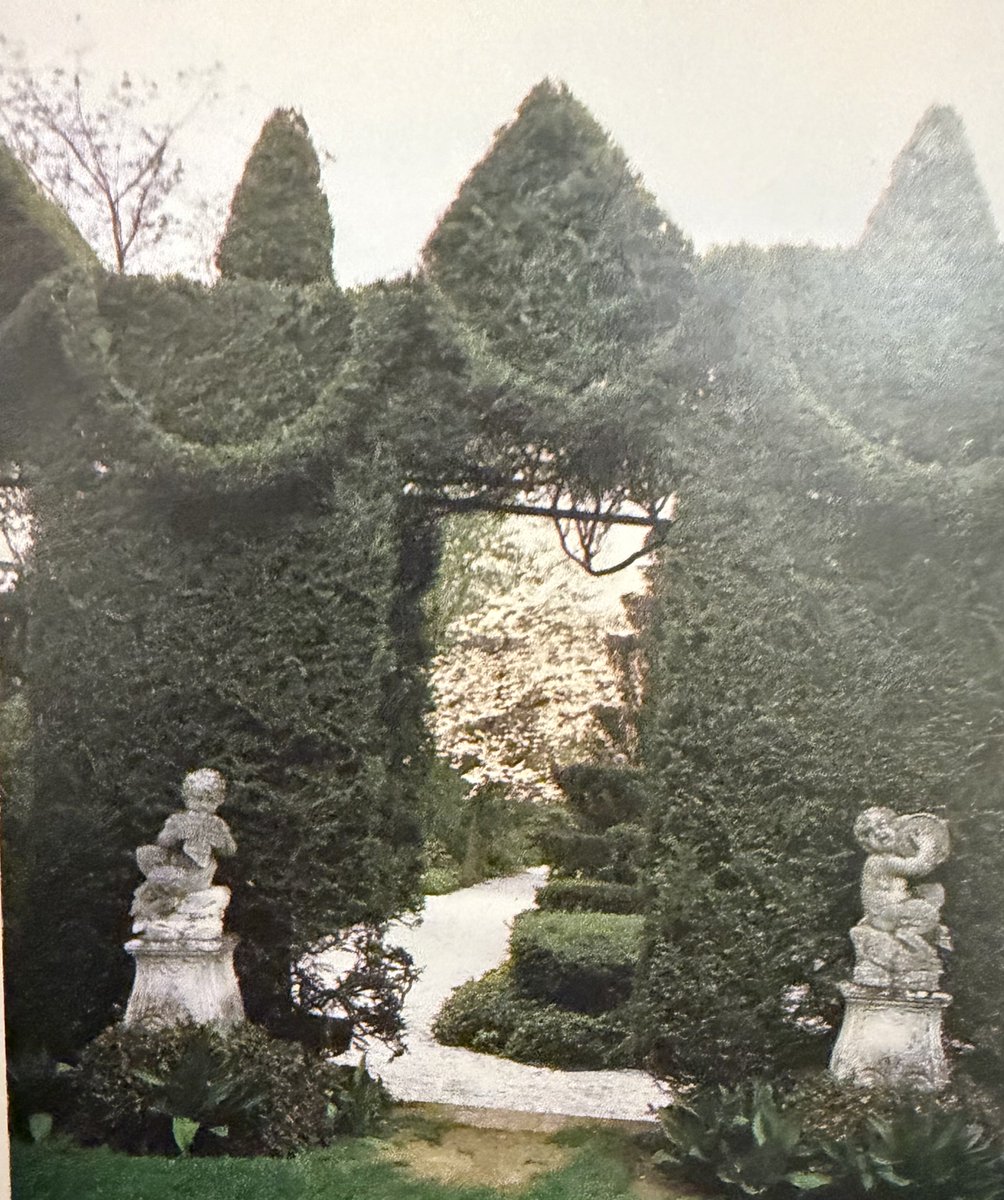 Henry Cameron tweet media