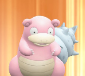 SubbyCorp's tweet photo. Contemplating..... #slowbro #pokemon https://t.co/ebus6BJ2Jo