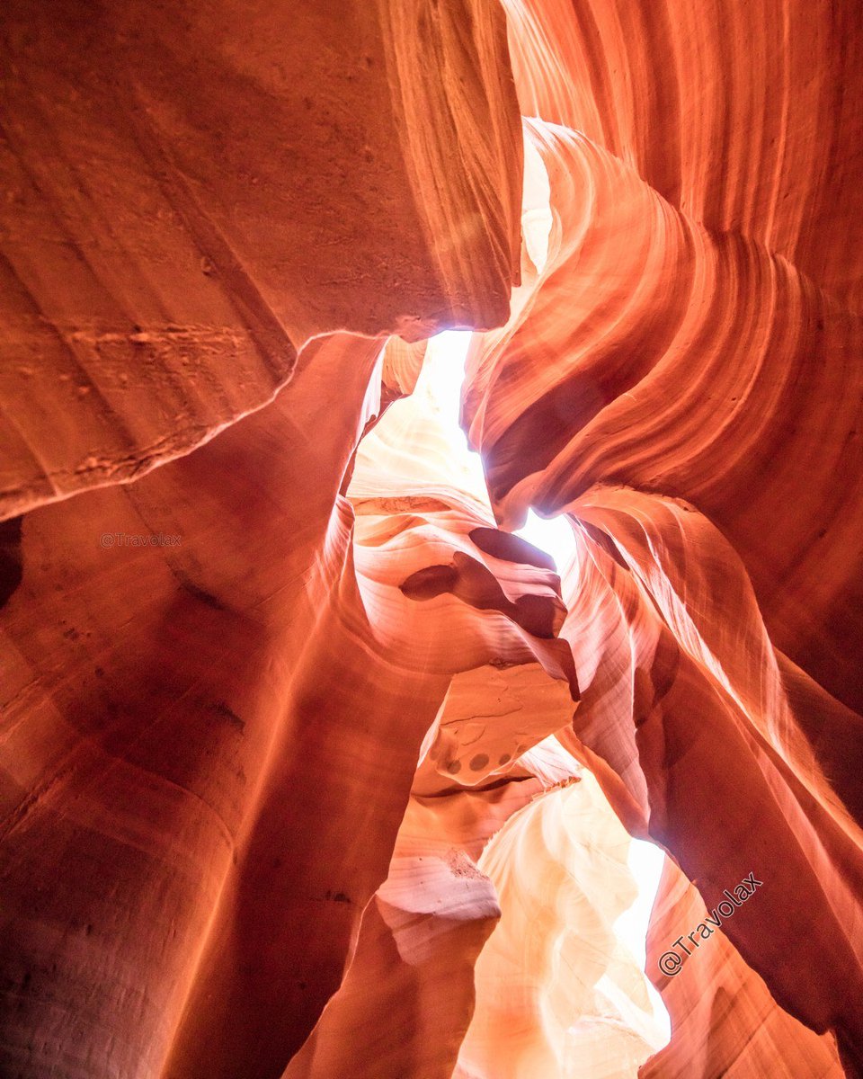 Travolax | Always Traveling tweet media