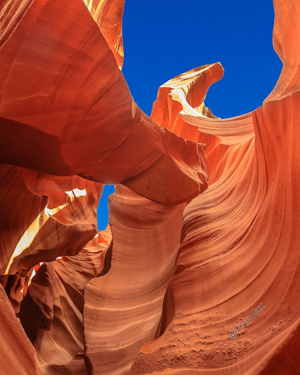 Travolax | Always Traveling tweet media