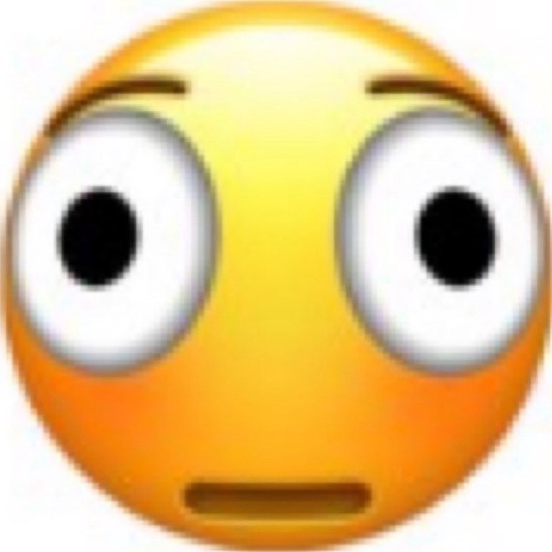 VIVA LA CALHOUN 🐻❄️🐈⬛‼️ tweet media