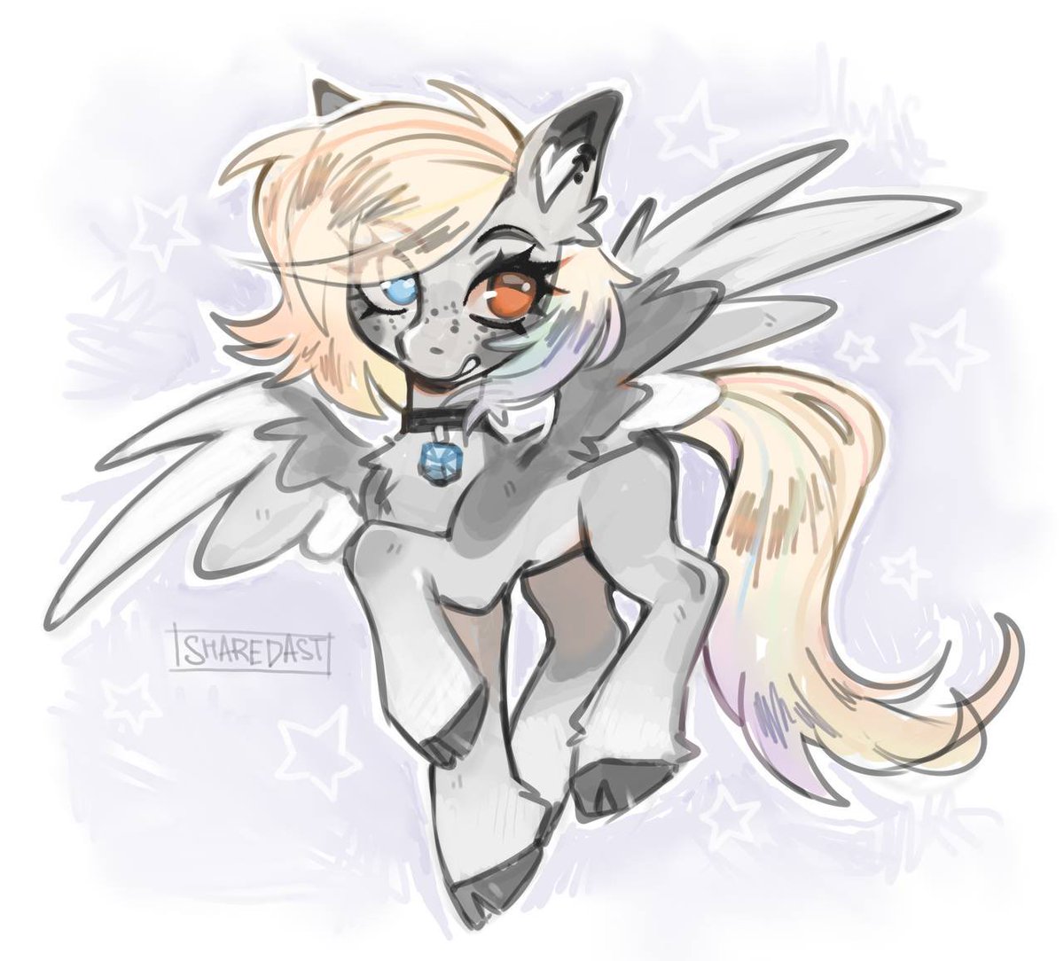 sharedast tweet media