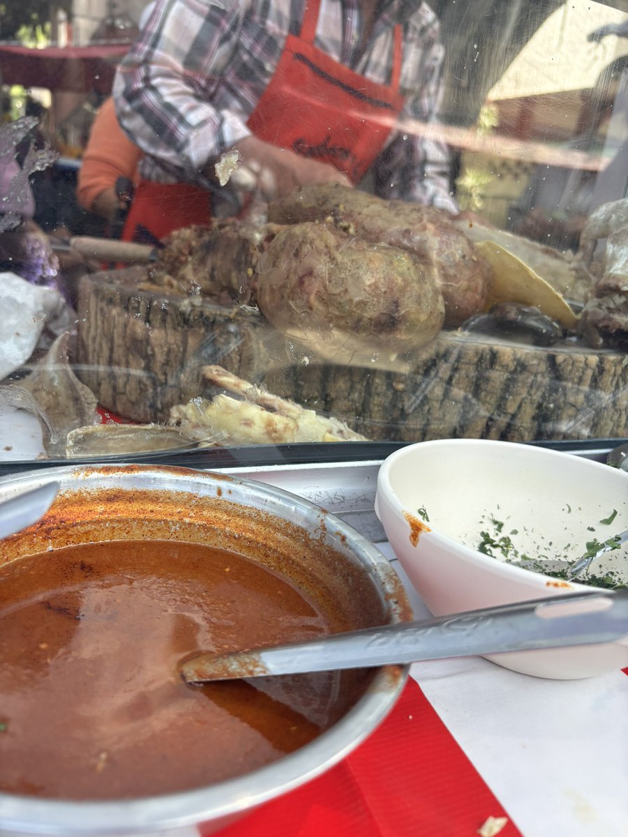 Maciej Cepnik 🇵🇱 🇲🇽 🇨🇦 tweet media