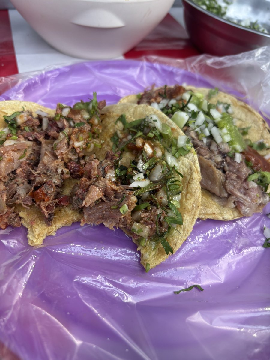 Maciej Cepnik 🇵🇱 🇲🇽 🇨🇦 tweet media