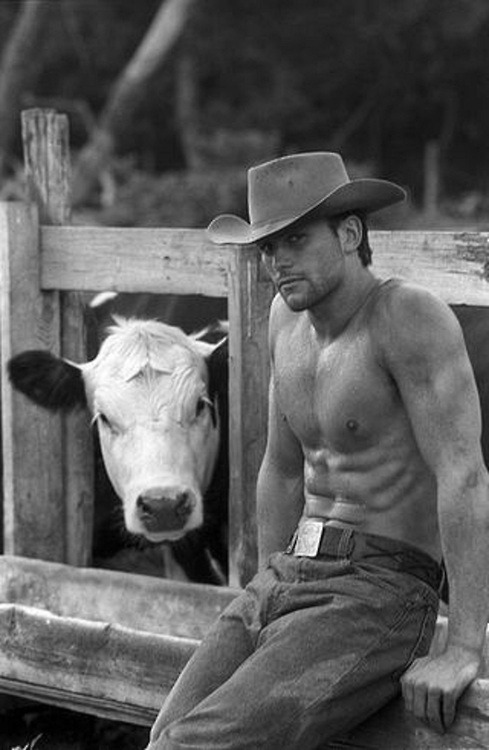 boy for contact tweet media