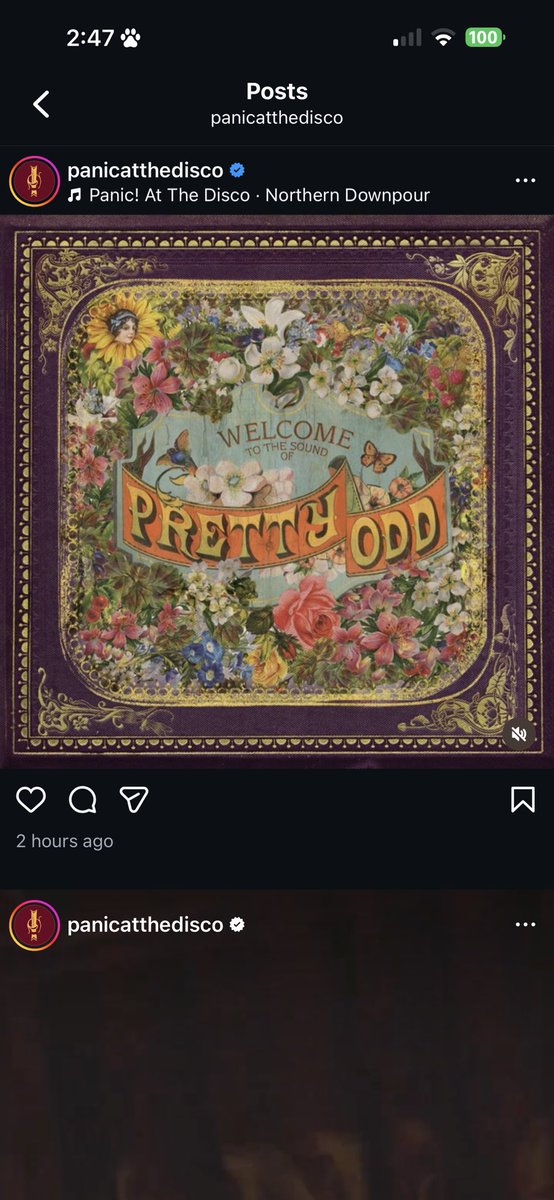 spence ‽ tweet media