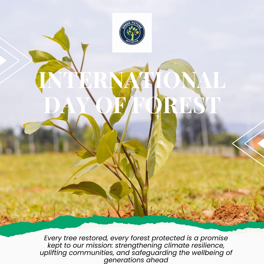 Happy #ForestDay!
Every tree restored, every forest protected is a promise kept to our mission: strengthening climate resilience, uplifting communities, and safeguarding the wellbeing of generations ahead. Proud of the work <a href="/gfirwanda/">GreenFuture Initiative (GFI)</a> is doing to build a better tomorrow. 
#RwoX