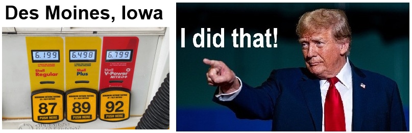 Michael Openshaw tweet media