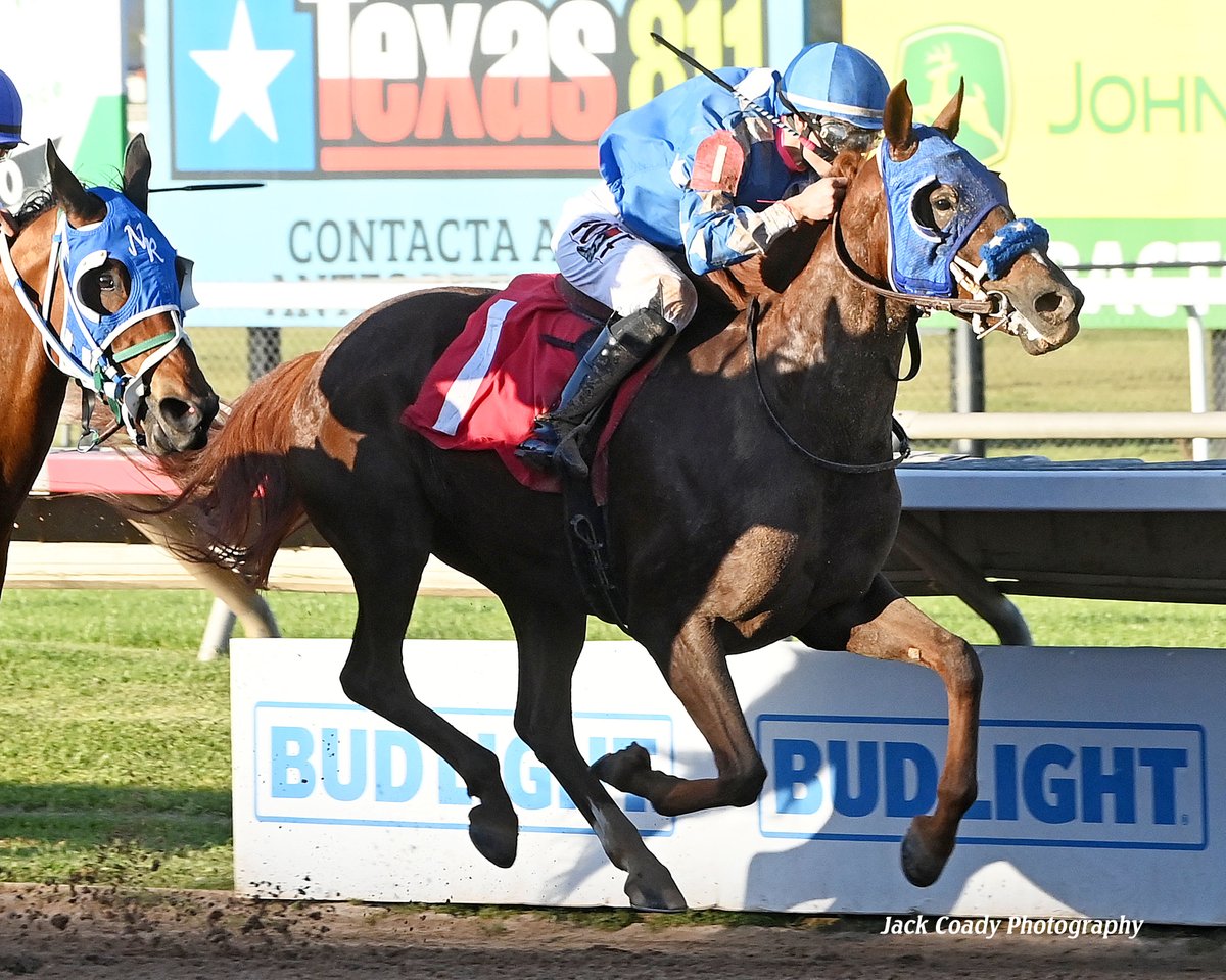 TheAJClub's tweet photo. WMA Wild Kisses is really coming into her own as a 4-year-old in 2026. The chestnut filly kicked off her sophomore season with her first career victory in her 13th lifetime start. Then fourth, then second, and she won again in an 11-1 upset at @SHRP. 📸 Jack Coady Photography https://t.co/BXSYidkRyb