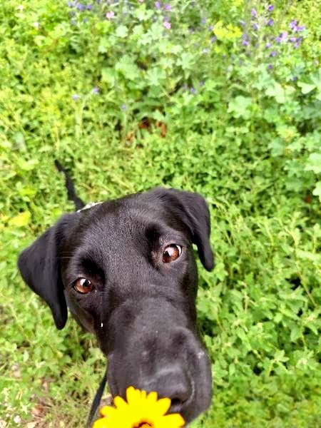 Natt ☾𖤓 tweet media