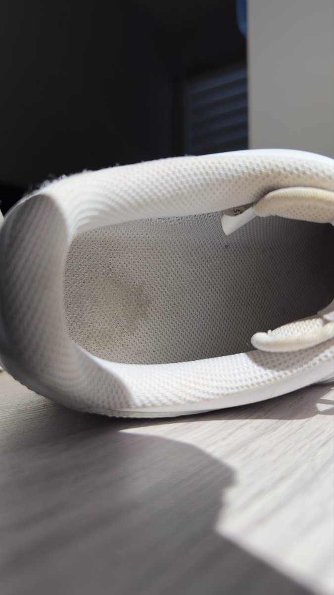 Giant Leo tweet media