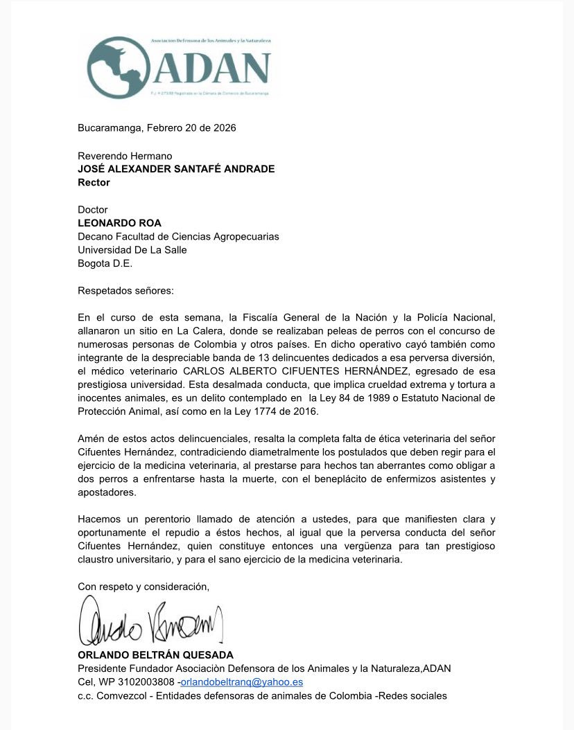 Plataforma ALTO tweet media