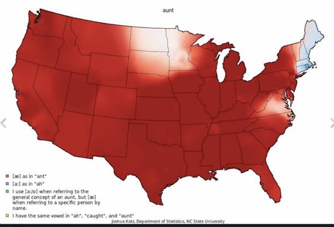 Southern Chestnut 🍀 tweet media