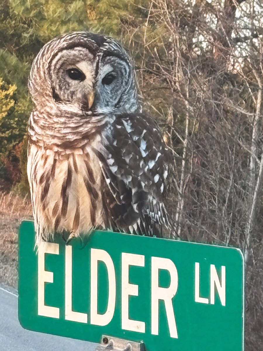 Kentucky Living tweet media