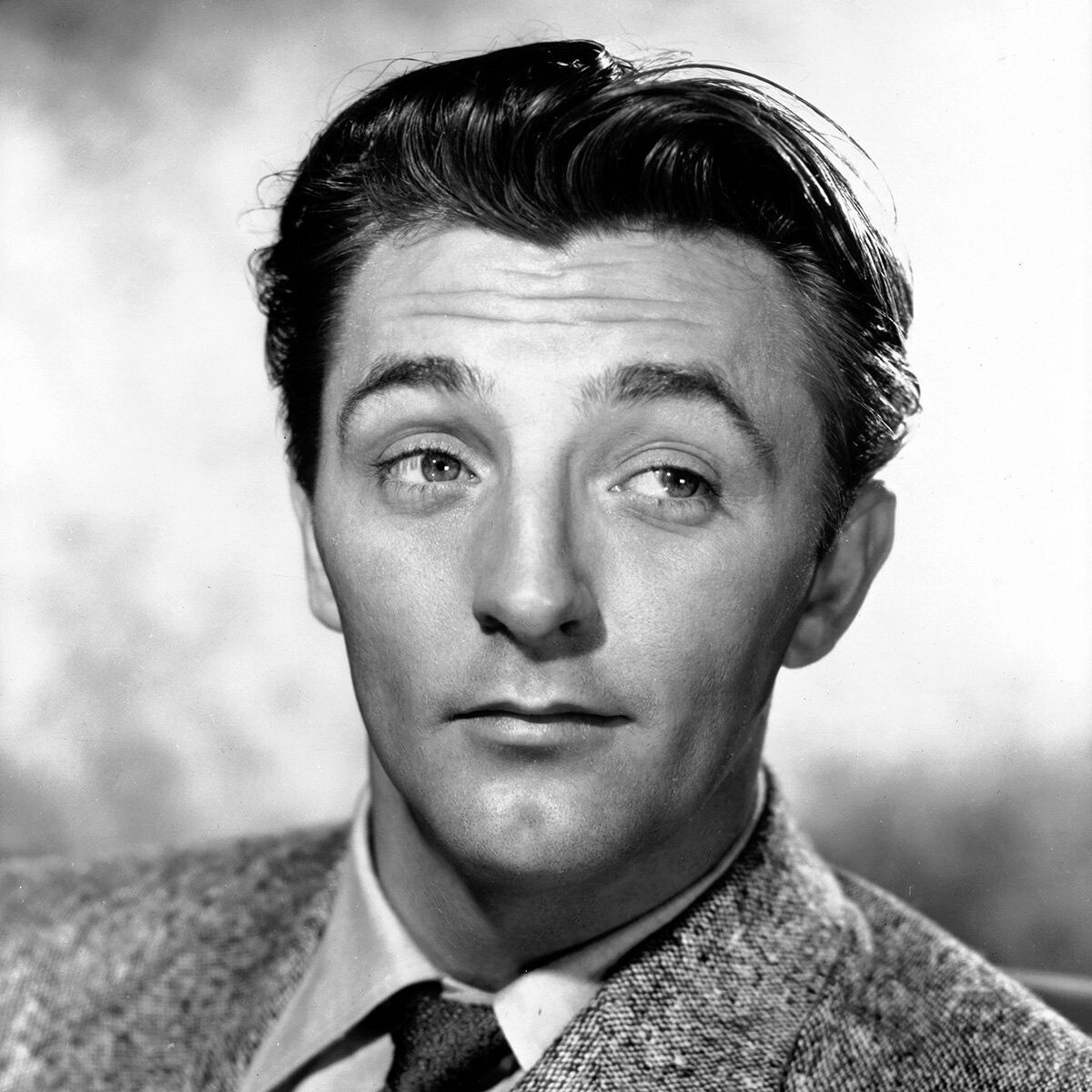 Composure Film tweet media