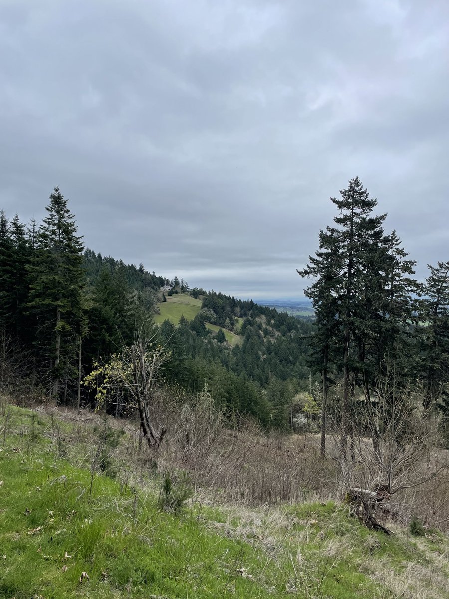 Magdalena🌲 tweet media