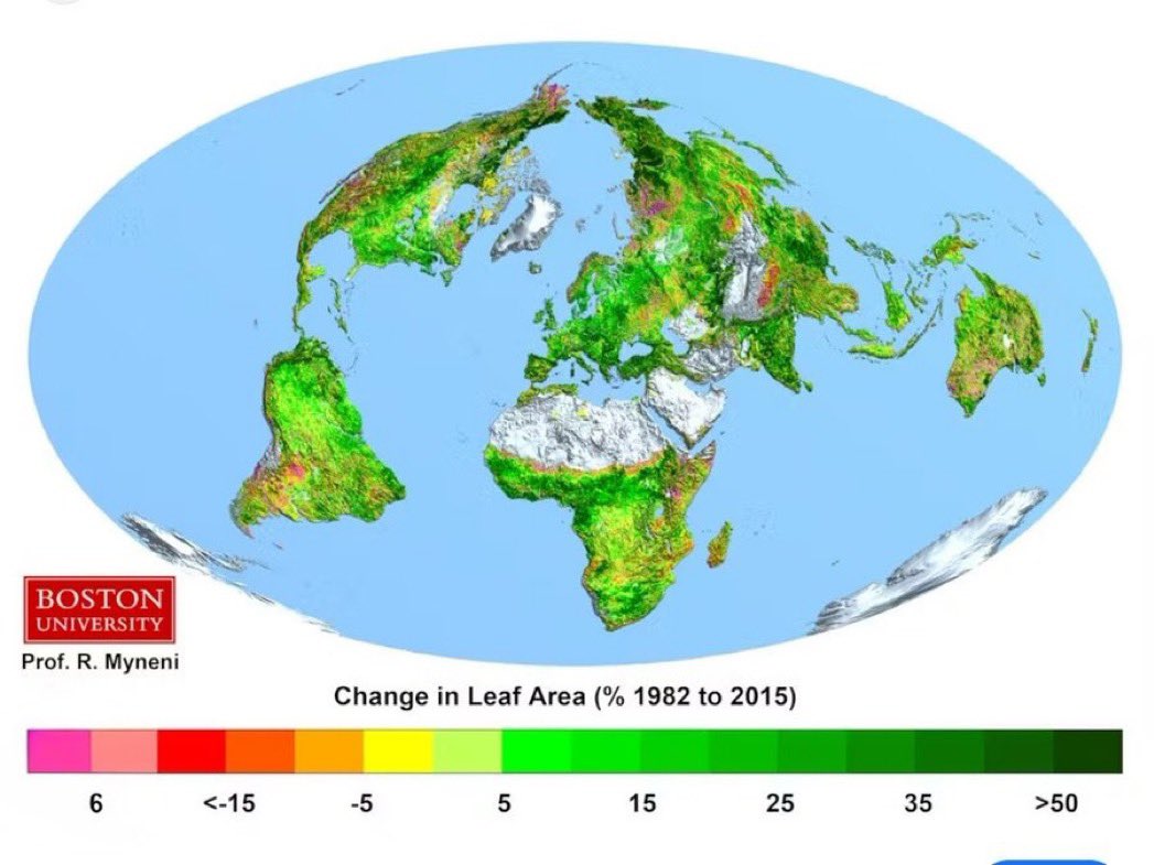 Med Bennett tweet media