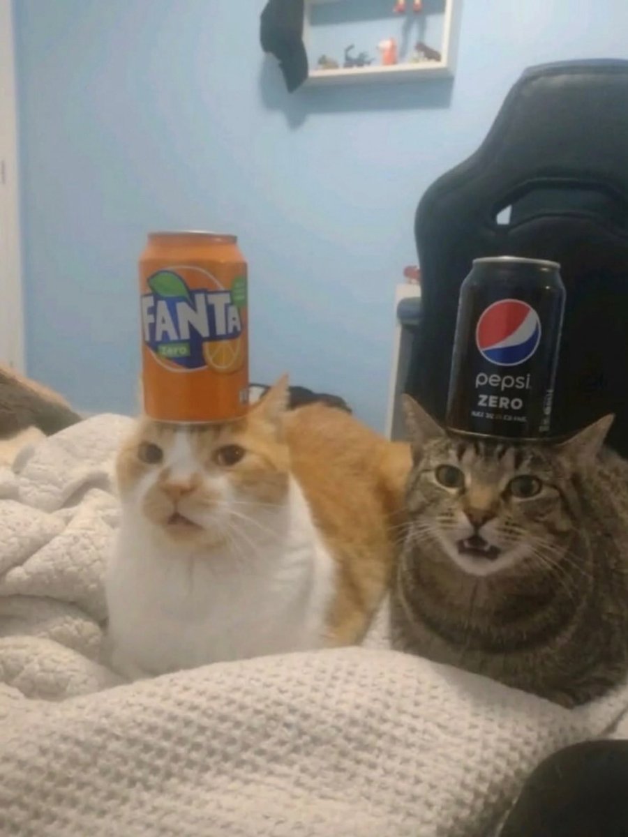 𝘧𝘭𝘶𝘰𝘹𝘦𝘵𝘪𝘯𝘦𝘧𝘢𝘨𝘨𝘰𝘵 tweet media