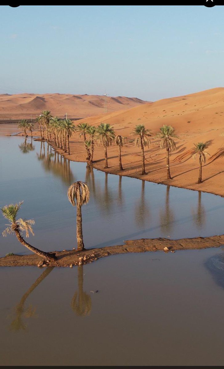 سليمان السهلي tweet media