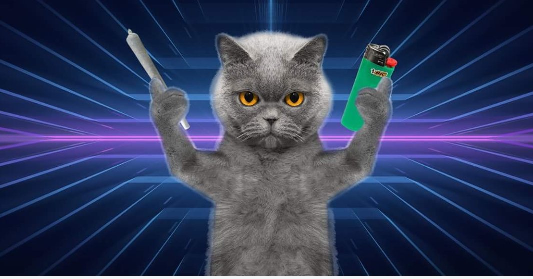 Thomas Benefield tweet media